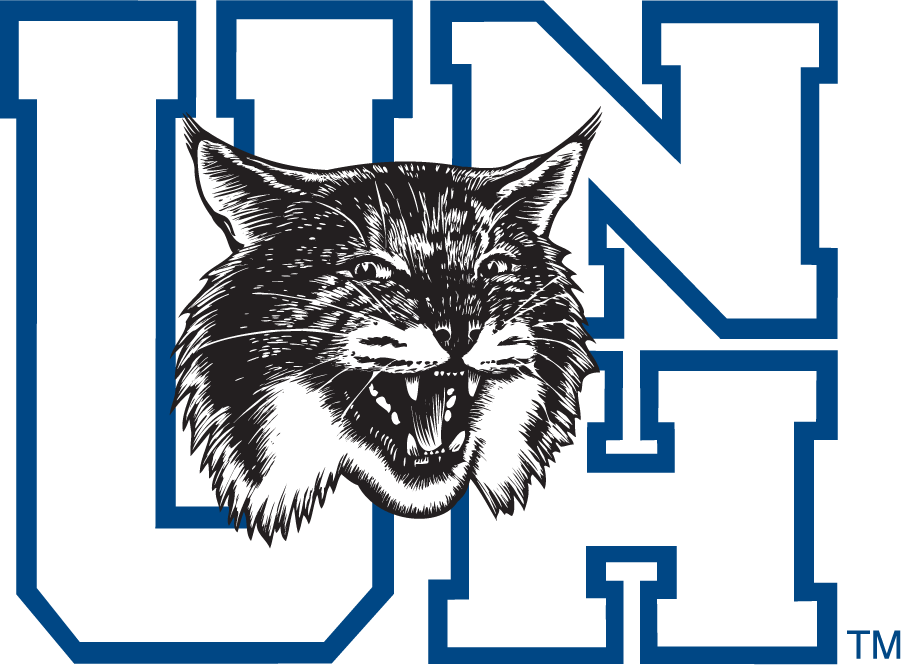 New Hampshire Wildcats 1993-2000 Alternate Logo iron on transfers for T-shirts